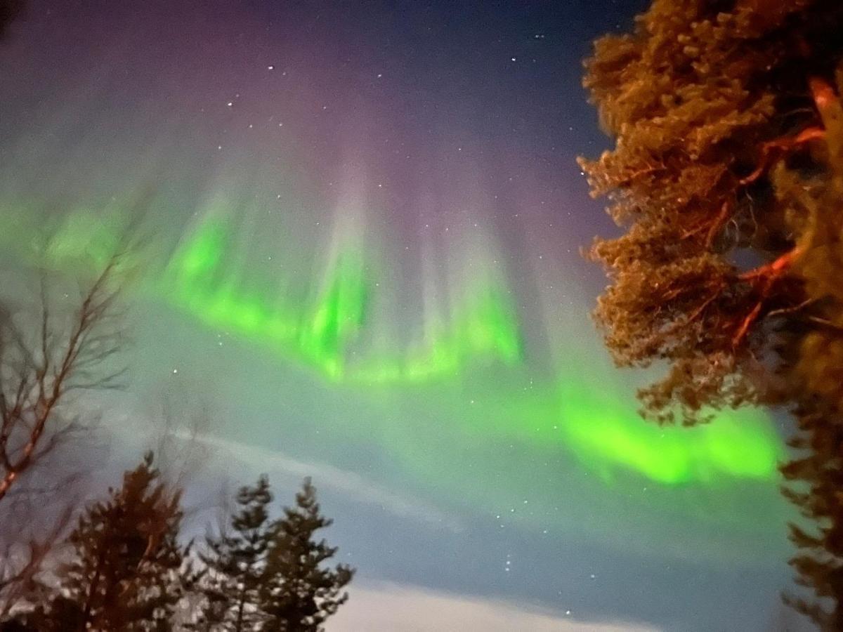 Paltto Elaemysretket Villa Lemmenjoki Buitenkant foto